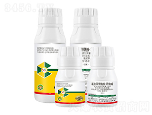 20%�ȳ汽�������������-Ȥũũҵ